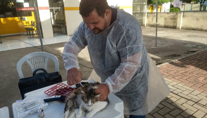 UBS Cohab recebe atendimentos do Castramóvel