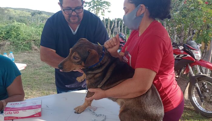 Castramóvel chega a Ribeiro do Mel