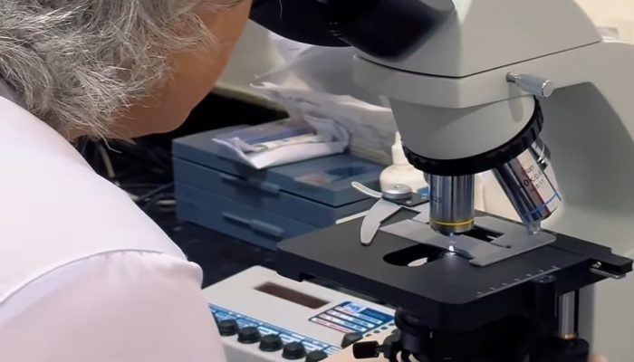 Laboratório Municipal e Farmácia Central de Limoeiro completam três anos de atividades com estatísticas impressionantes